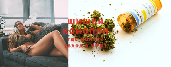 spice Аркадак