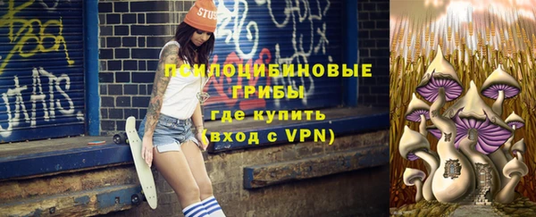соль курить ск Арсеньев