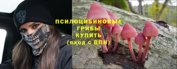 прущий лед Осташков