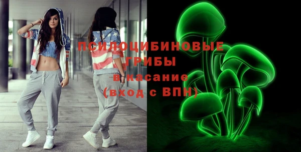 spice Аркадак